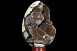 Septarian Dragon Egg Geode - Sparkly Black Crystals #81351-1